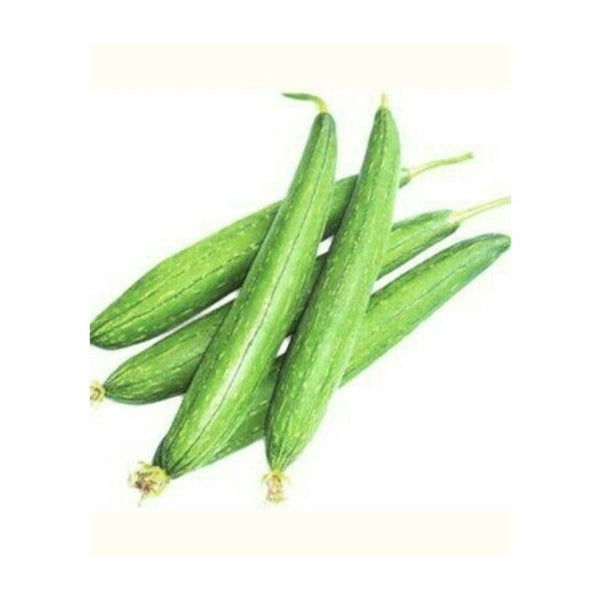 Indian Sponge Gourd / Galka (1kg)