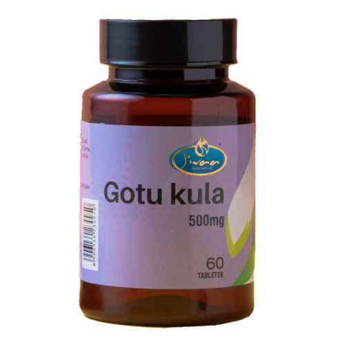 Jivaa Gotu kula (500mg) Capsules (60Tabs)