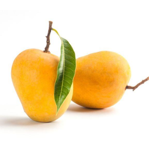 Chausa / Chaunsa Honey Sweet Mangoes Box (10 -11 pcs | 3.5kg)
