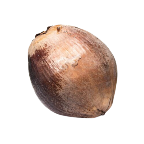 Shagun Coconut