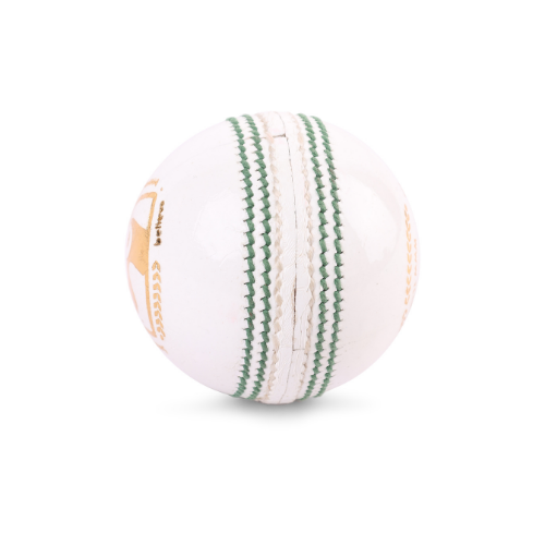 SG Tournament White Cricket Leather Ball (1pc)