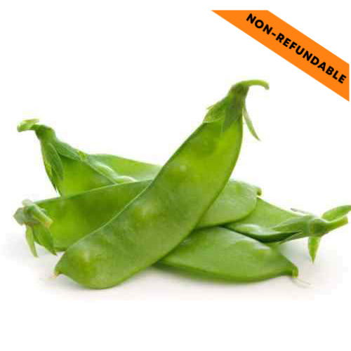 Flat green beans / Valore papdi (1kg)