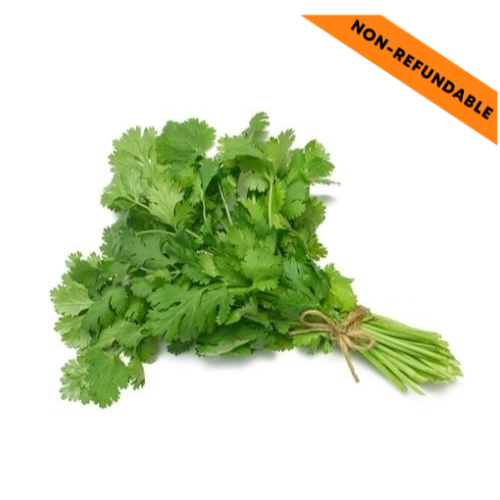Fresh Coriander Bunch (1pc)