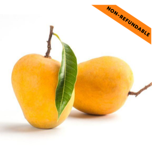 Kesar Mangoes Box (3-6pcs | 1-2 kgs)