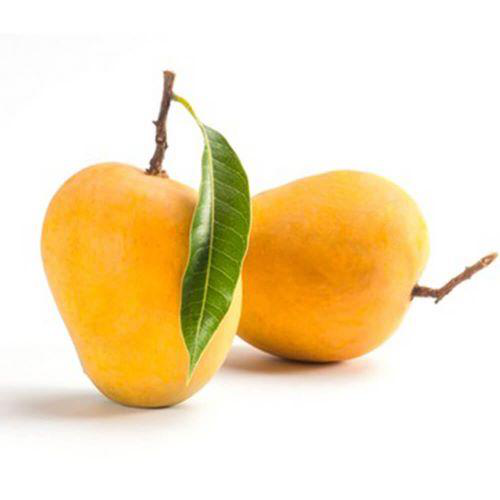 Kesar Mangoes Box (3-6pcs | 1-2 kgs)