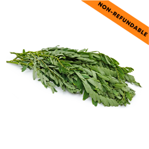 Fresh Agathi Leaves / Katuari Leaves Bunch (1pc)