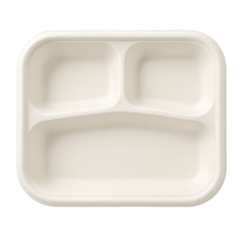 Bagasse Plate (Pack of 25) (1pc)