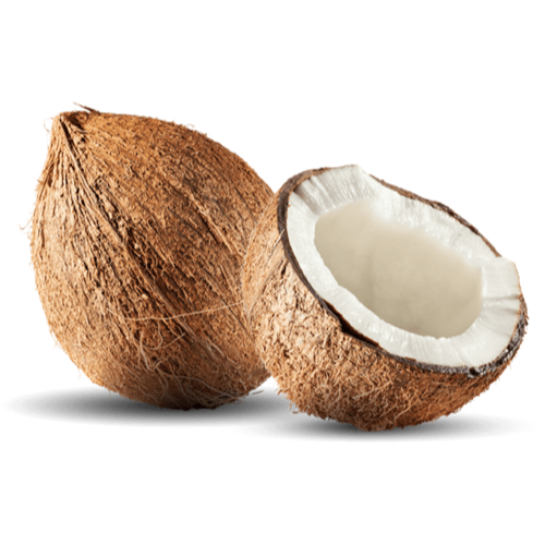 Fresh Coconut (Nariyal) - 1pc - Dookan